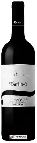 Weingut Fantinel - Merlot Borgo Tesis