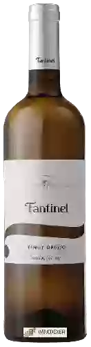 Weingut Fantinel - Pinot Grigio Borgo Tesis