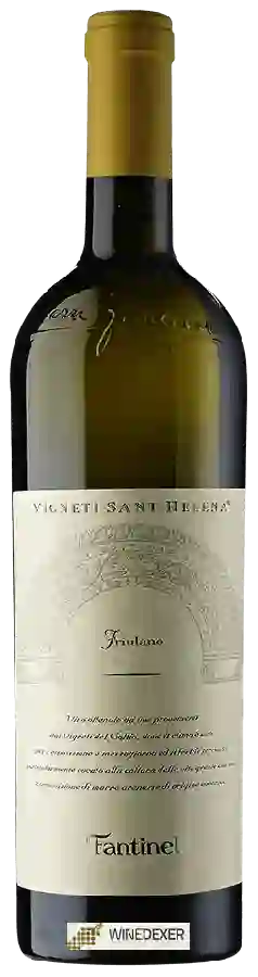 Weingut Fantinel - Tenuta Sant'Helena Friulano