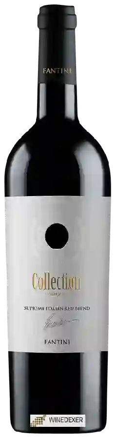Weingut Farnese - Fantini Collection Red Blend Weingut Farnese - Fantini Collection Red Blend