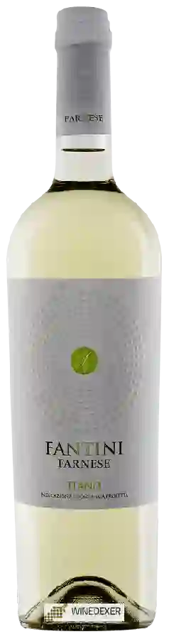 Weingut Farnese - Fantini Fiano Weingut Farnese - Fantini Fiano