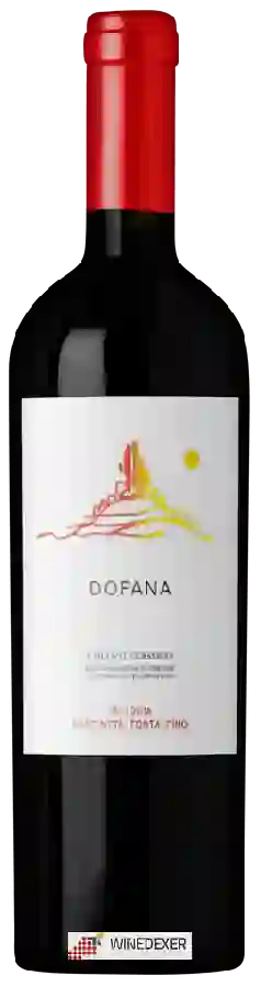 Weingut Cresti - Fattoria Carpineta Fontalpino - Dofana Chianti Classico