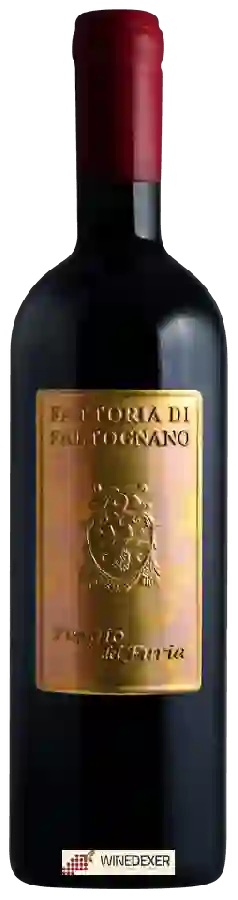 Weingut Fattoria di Faltognano - Poggio del Furia Rosso Weingut Fattoria di Faltognano - Poggio del Furia Rosso