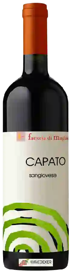 Weingut Fattoria di Magliano - Capato Sangiovese