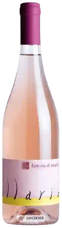 Weingut Fattoria di Magliano - Illario Rosato Weingut Fattoria di Magliano - Illario Rosato