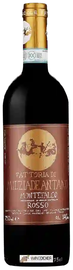 Weingut Fattoria Colleallodole Milziade Antano - Montefalco Rosso Weingut Fattoria Colleallodole Milziade Antano - Montefalco Rosso