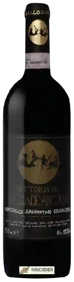 Weingut Fattoria Colleallodole Milziade Antano - Montefalco Sagrantino Colleallodole Weingut Fattoria Colleallodole Milziade Antano - Montefalco Sagrantino Colleallodole