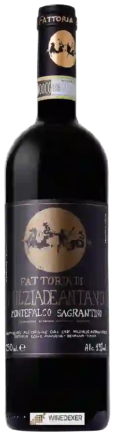 Weingut Fattoria Colleallodole Milziade Antano - Montefalco Sagrantino