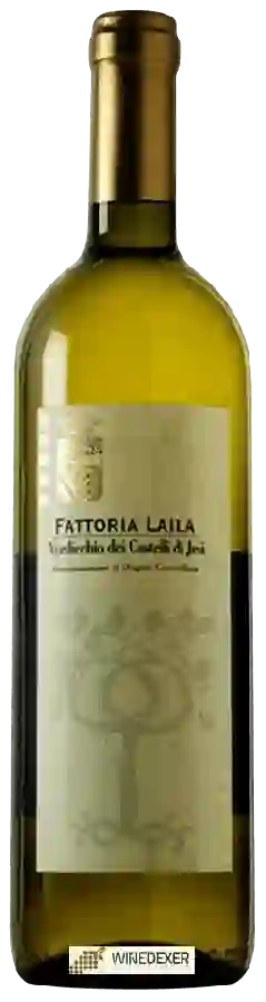 Weingut Fattoria Laila - Verdicchio dei Castelli di jesi Weingut Fattoria Laila - Verdicchio dei Castelli di jesi