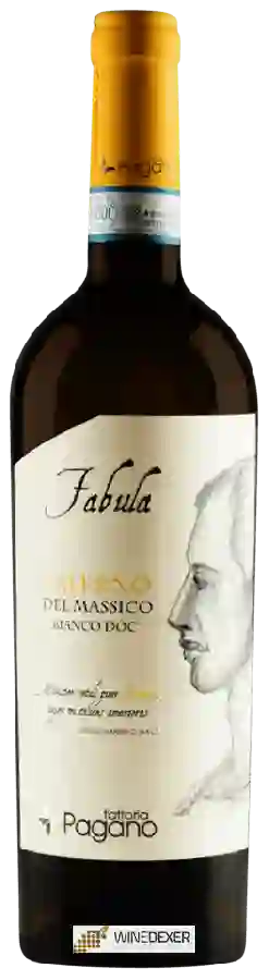 Weingut Fattoria Pagano - Fabula Falerno del Massico