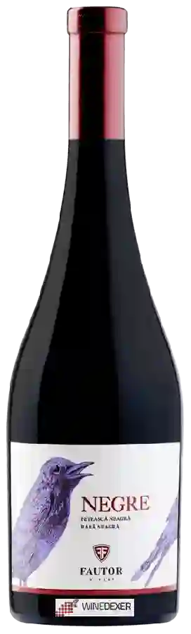 Weingut Fautor - Negre Feteasca Neagra - Rara Neagra