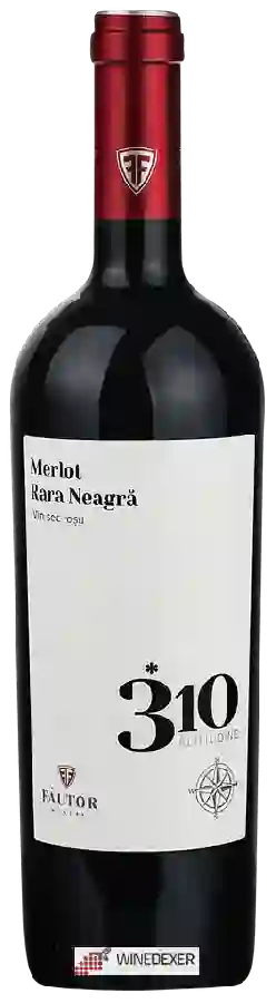 Weingut Fautor - 310 Altitudine Merlot - Rara Neagră