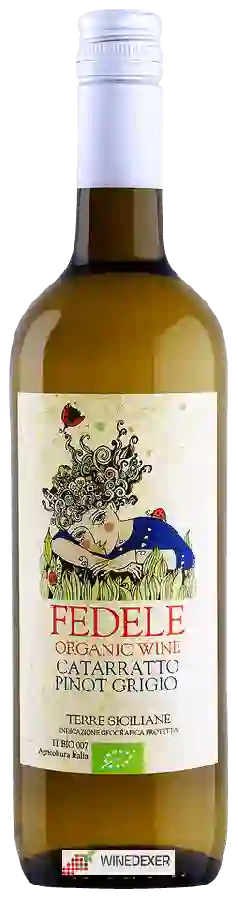 Weingut Fedele - Catarratto - Pinot Grigio