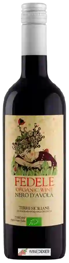 Weingut Fedele - Nero d'Avola Weingut Fedele - Nero d'Avola