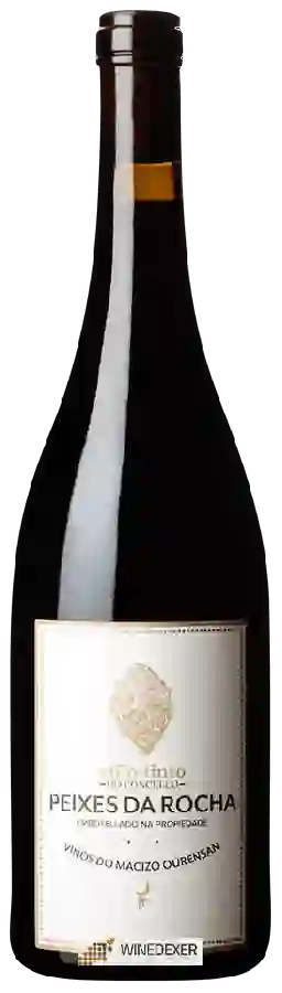 Weingut Fedellos do Couto - Peixes da Rocha Weingut Fedellos do Couto - Peixes da Rocha