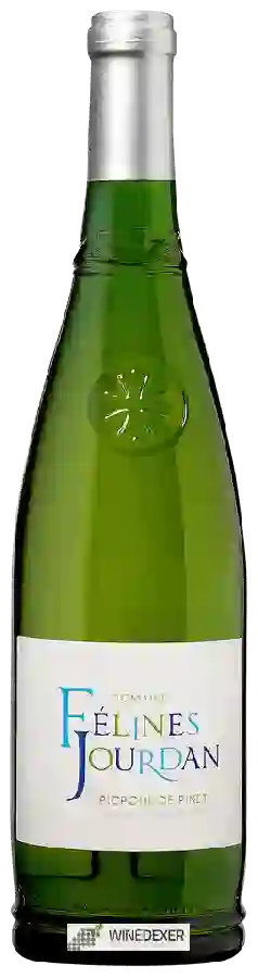 Domaine Félines Jourdan - Picpoul de Pinet Domaine Félines Jourdan - Picpoul de Pinet