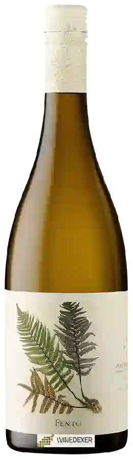 Weingut Fento - Blanco