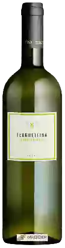 Weingut Ferghettina - Curtefranca Bianco
