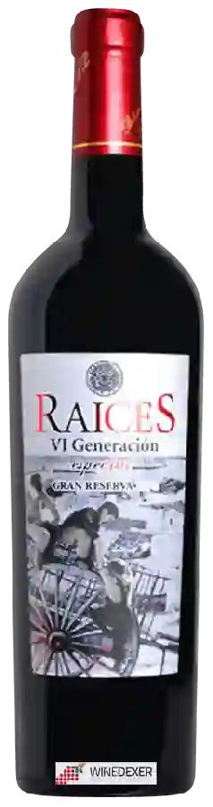 Weingut Raíces - VI Generación Especial Gran Reserva