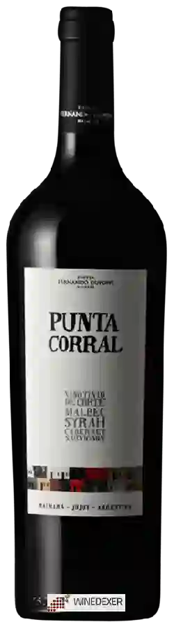 Weingut Fernando Dupont - Punta Corral