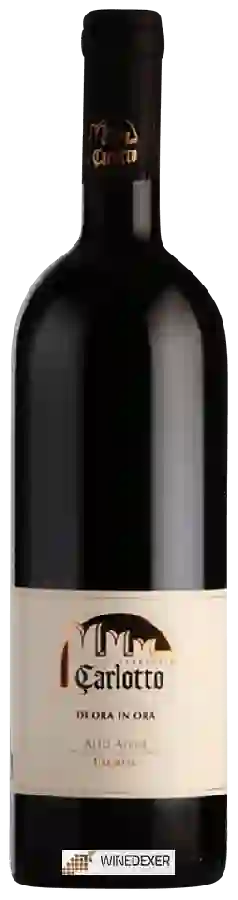 Weingut Ferruccio Carlotto - Lagrein