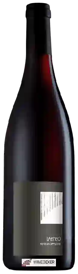 Weingut Tenuta di Fessina - Laeneo Nerello Cappuccio Weingut Tenuta di Fessina - Laeneo Nerello Cappuccio