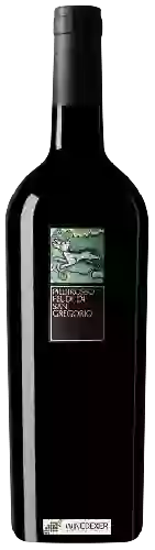 Weingut Feudi di San Gregorio - Piedirosso