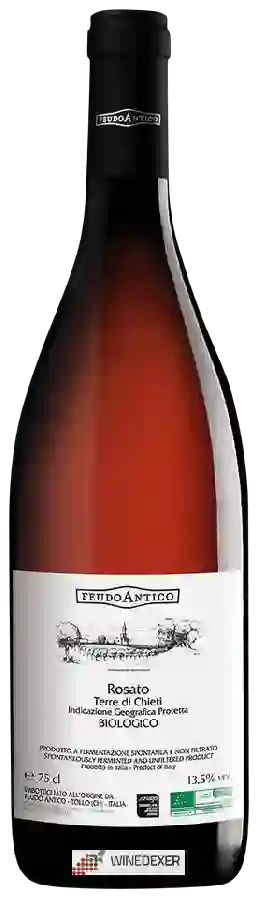 Weingut Feudo Antico - Biologico Rosato