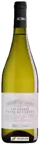Weingut Feudo Antico - Pecorino