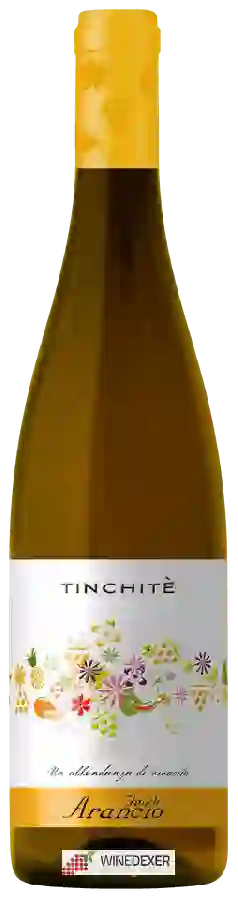 Weingut Feudo Arancio - Tinchitè