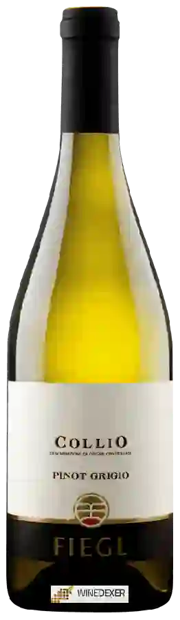 Weingut Fiegl - Pinot Grigio Collio