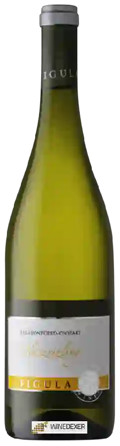 Weingut Figula - Olaszrizling Weingut Figula - Olaszrizling
