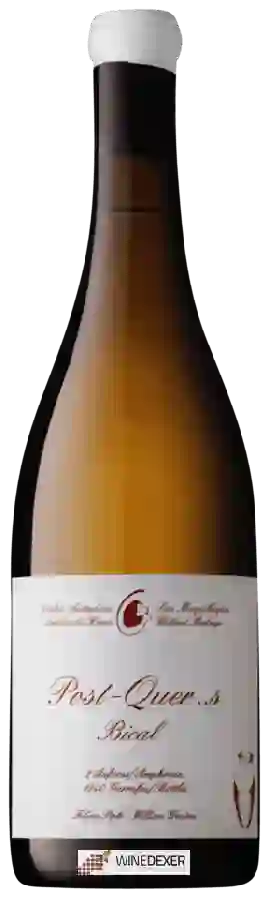 Weingut Filipa Pato - Post-Quercus Branco Weingut Filipa Pato - Post-Quercus Branco