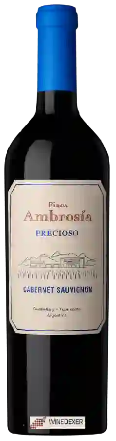 Weingut Finca Ambrosia - Precioso Cabernet Sauvignon