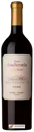 Weingut Finca Ambrosia - Precioso Malbec