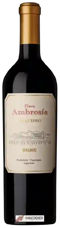 Weingut Finca Ambrosia - Precioso Malbec Weingut Finca Ambrosia - Precioso Malbec