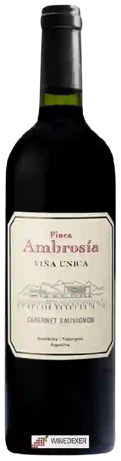 Weingut Finca Ambrosia - Viña Unica Cabernet Sauvignon