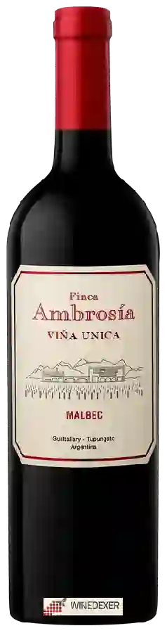 Weingut Finca Ambrosia - Viña Unica Malbec Weingut Finca Ambrosia - Viña Unica Malbec