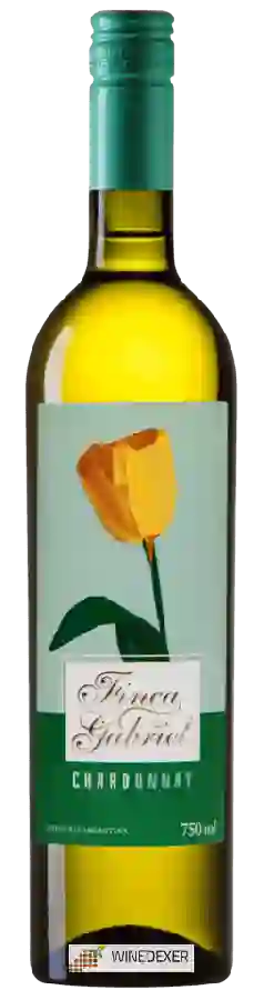 Weingut Finca Gabriel - Chardonnay
