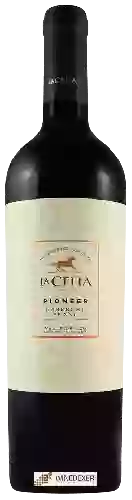 Weingut Finca La Celia - Pioneer Cabernet Franc