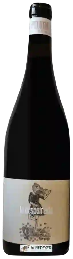 Weingut Finca la Despeinada - La Peluda y El Niño