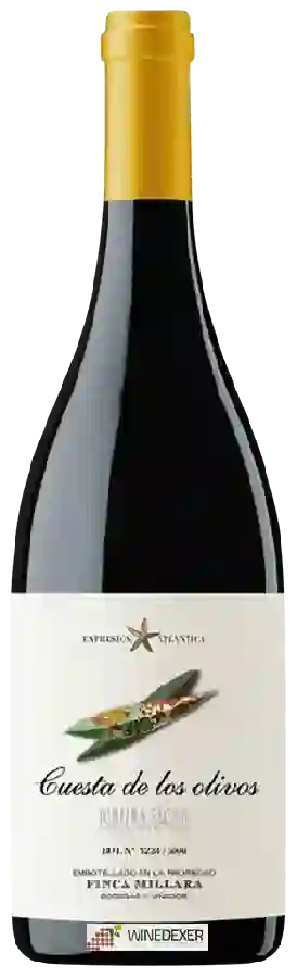 Weingut Finca Míllara - Cuesta de los Olivos Weingut Finca Míllara - Cuesta de los Olivos