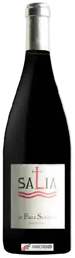 Weingut Finca Sandoval - Salia Weingut Finca Sandoval - Salia
