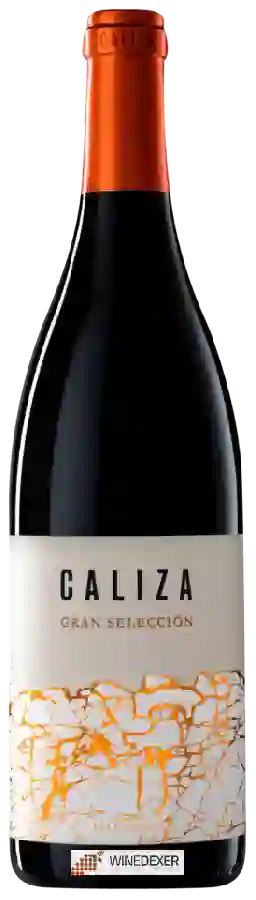 Weingut Fitzroy Bay - Caliza Gran Selección Weingut Fitzroy Bay - Caliza Gran Selección