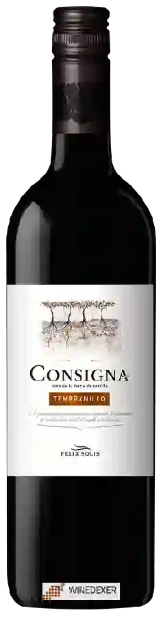 Weingut Fitzroy Bay - Consigna Tempranillo Weingut Fitzroy Bay - Consigna Tempranillo