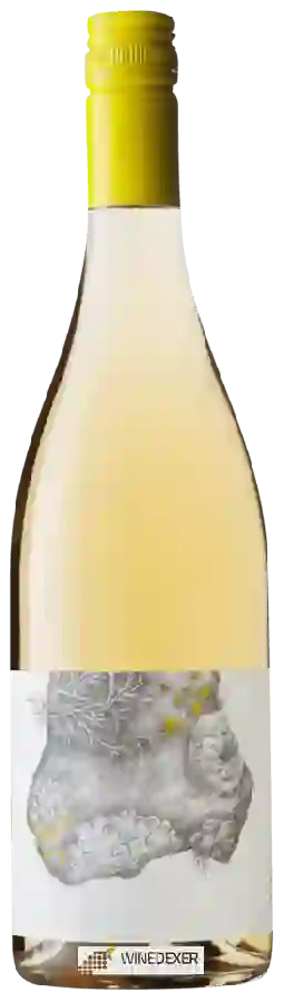 Weingut Fleet - Pinot Gris Weingut Fleet - Pinot Gris