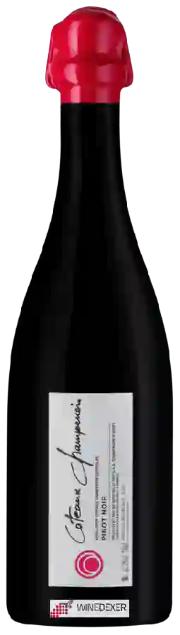 Weingut Fleury - Coteaux Champenois Pinot Noir Weingut Fleury - Coteaux Champenois Pinot Noir