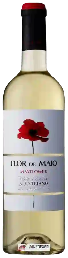 Weingut Flor de Maio - Mayflower Branco Weingut Flor de Maio - Mayflower Branco
