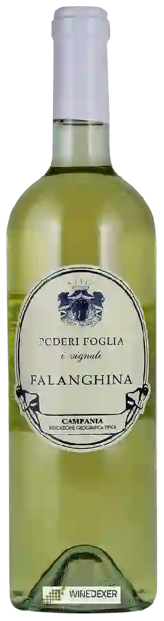 Weingut Poderi Foglia - I Vignali Falanghina Weingut Poderi Foglia - I Vignali Falanghina