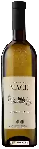 Weingut Fondazione Edmund Mach - Moscato Giallo Trentino